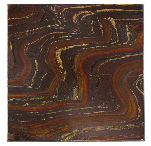 Tiger Iron Stromatolite Shower Tile - Billion Years Old #48806